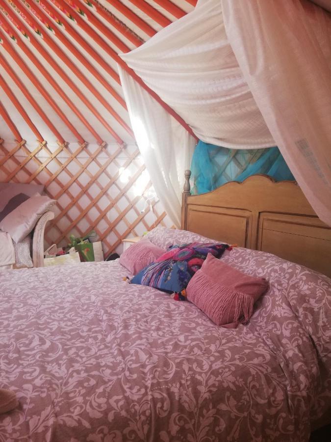 Yurta De Arico 호텔 Arico Viejo 외부 사진