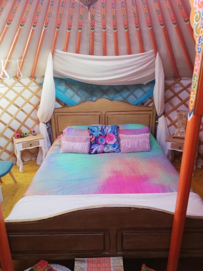 Yurta De Arico 호텔 Arico Viejo 외부 사진